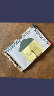 Fanzines